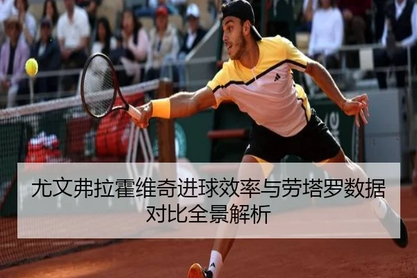 尤文弗拉霍维奇进球效率与劳塔罗数据对比全景解析
