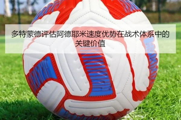 img_1781771971525_247_1_456.jpg